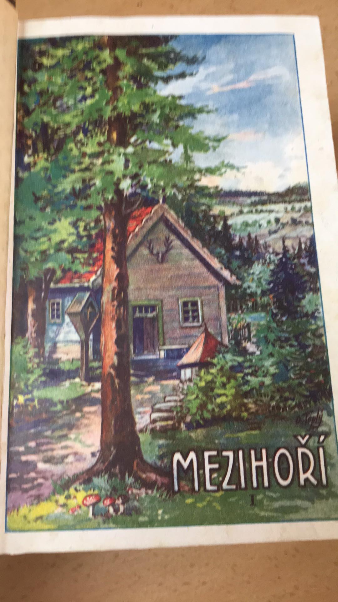 VLASTA JAVOŘICKÁ - MEZIHOŘÍ