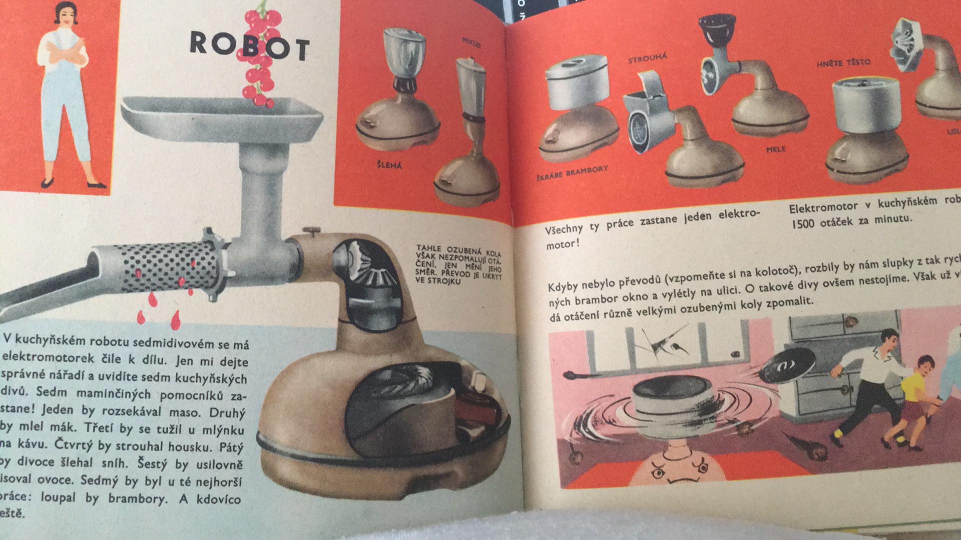 V. KOVAL - 25 DIVŮ V NAŠEM DOMĚ