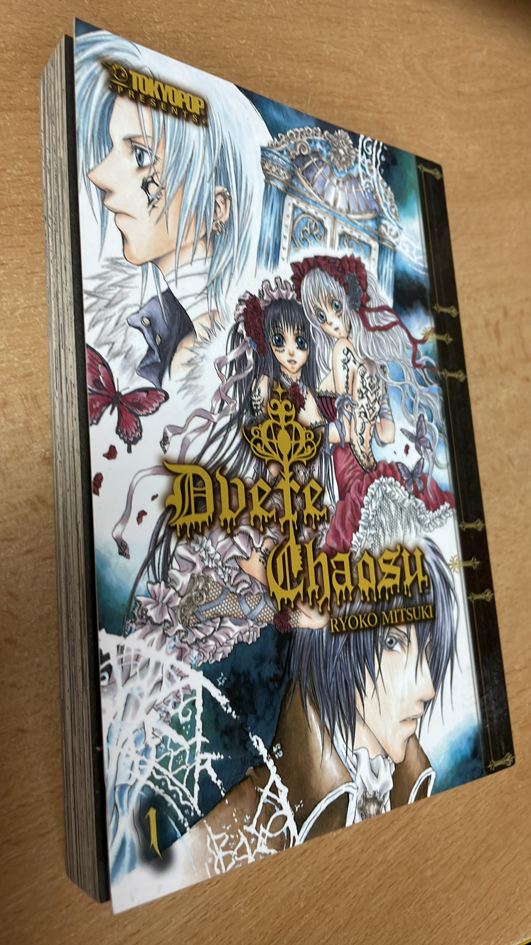 RYOKO MITSUKI - DVĚŘE CHAOSU