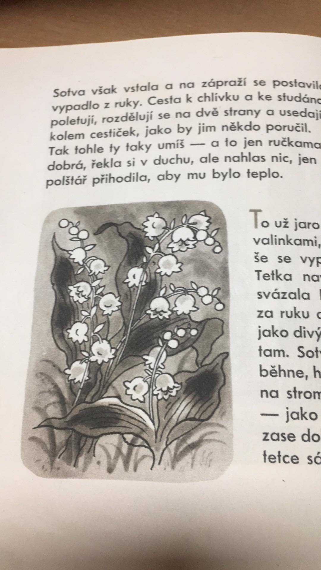 B. J. SPALOVÁ - KLOUČEK SOUČEK 