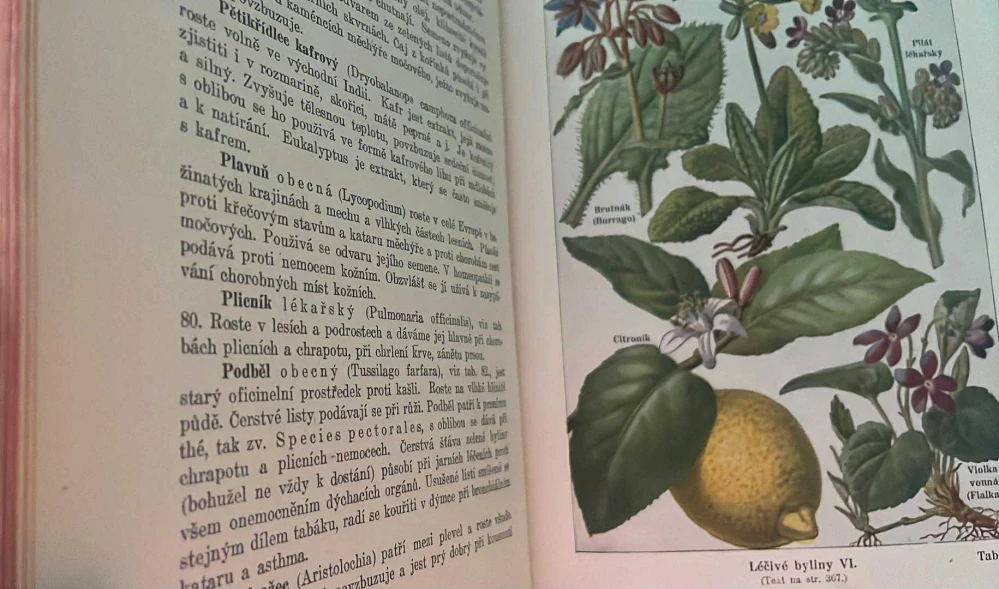 KAREL PUR - NOVÝ LÉKAŘSKÝ RÁDCE