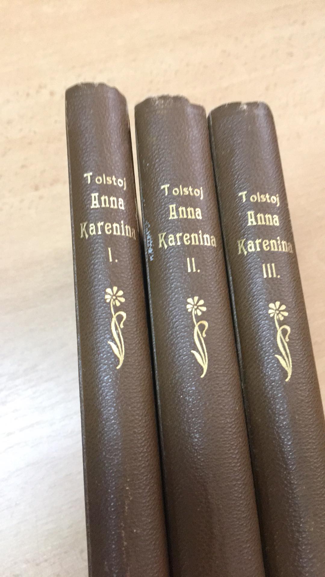 L. N. TOLSTOJ - ANNA KARENINA