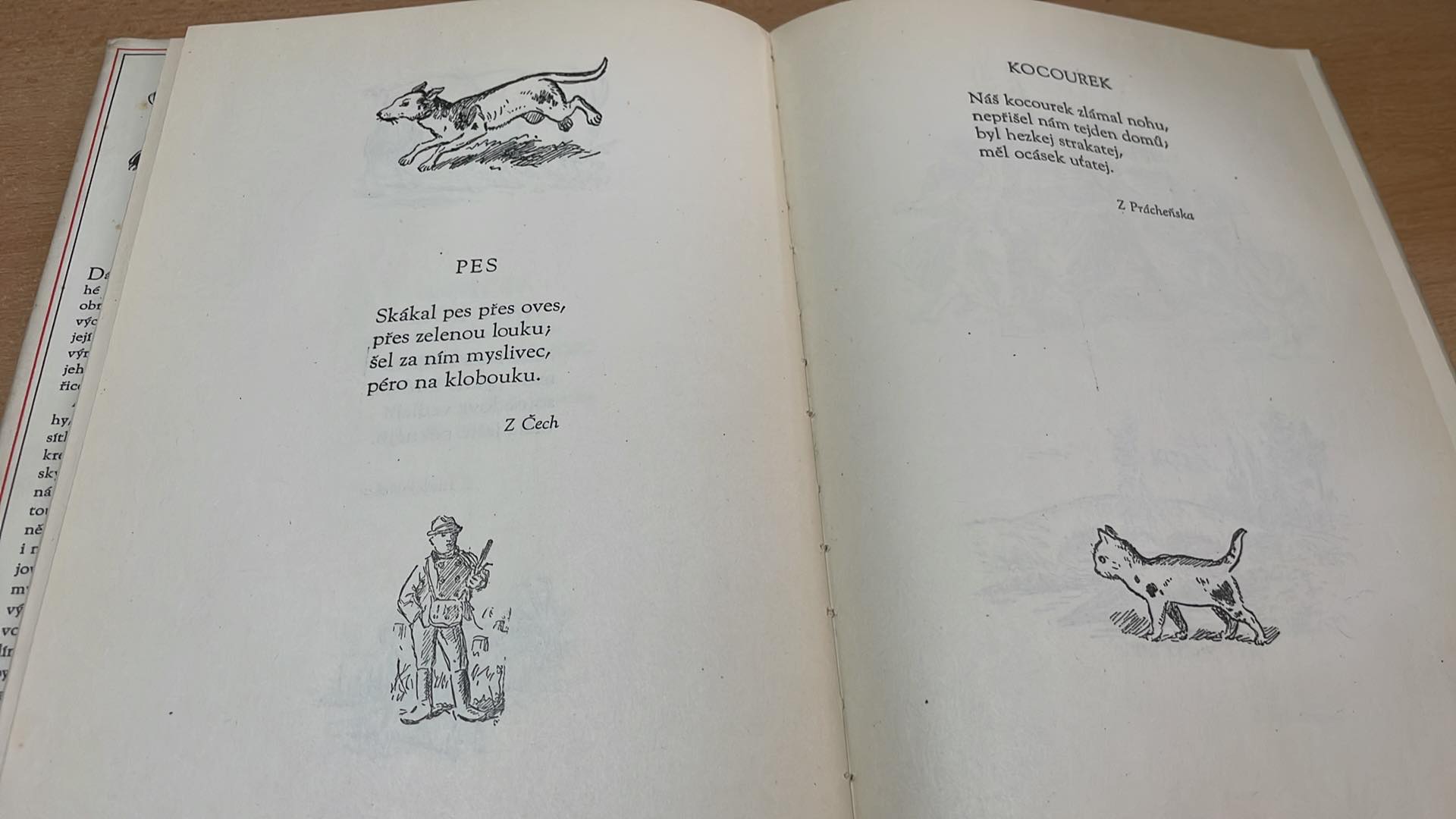 D. M. PAVLÍČEK - DOMOV OBRÁZKY MIKOLÁŠE ALŠE