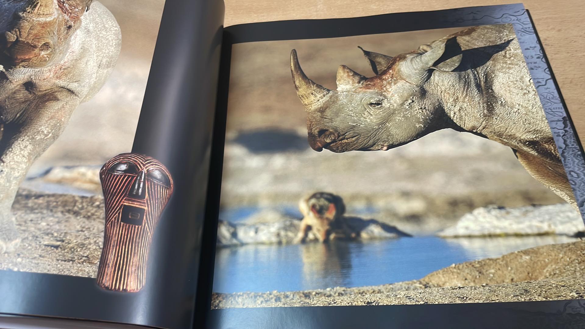 RICHARD JARONĚK - ZDE ŽIJÍ LVI