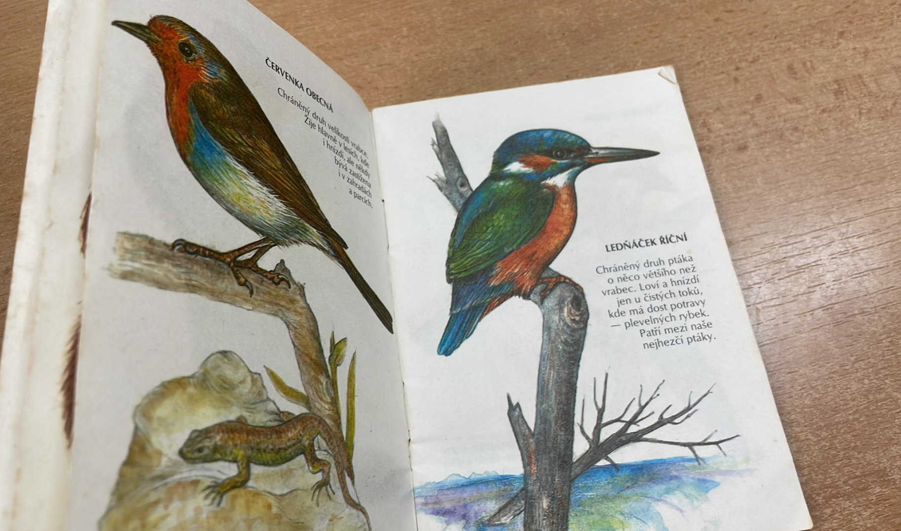 Malý průvodce přírodou