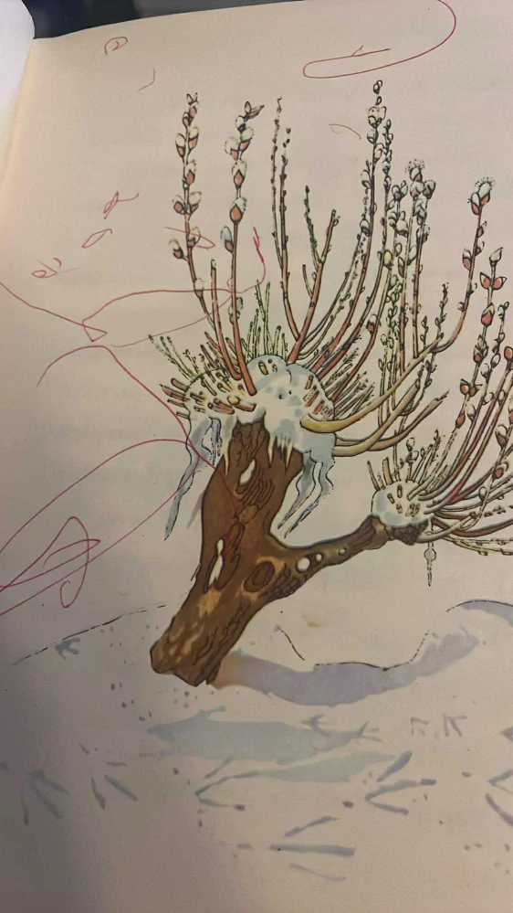 JOSEF ZEMAN - DOBRODRUŽSTVÍ VEVERKY ZRZEČKY