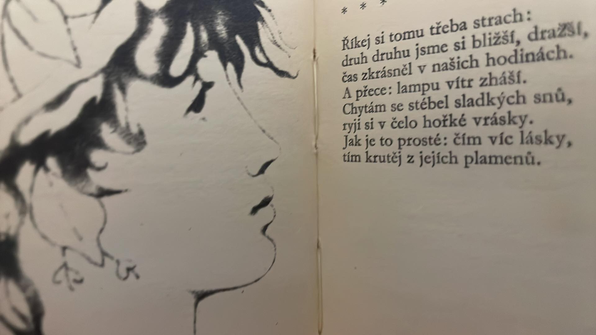 STĚPÁN ŠČIPAČOV - SLOKY LÁSKY 