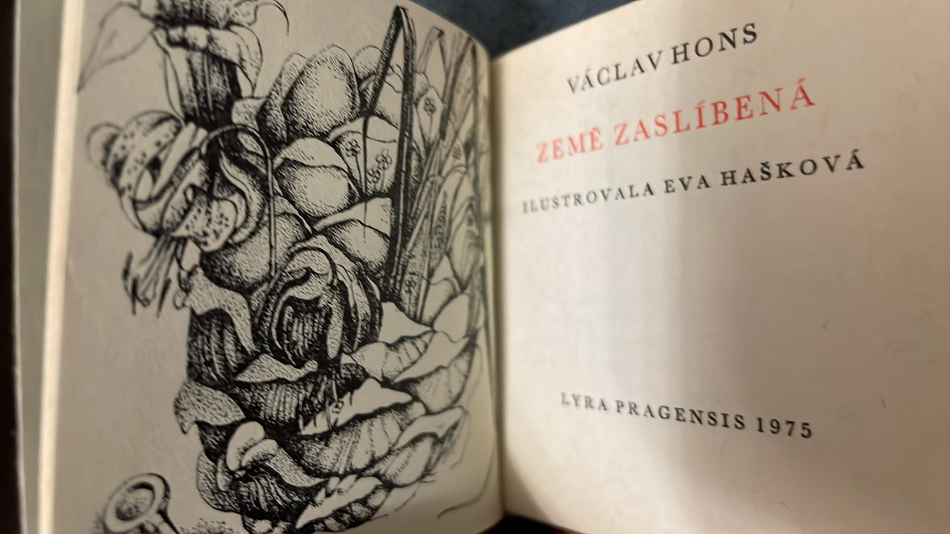 VÁCLAV HONS - ZEMĚ ZASLÍBENÁ