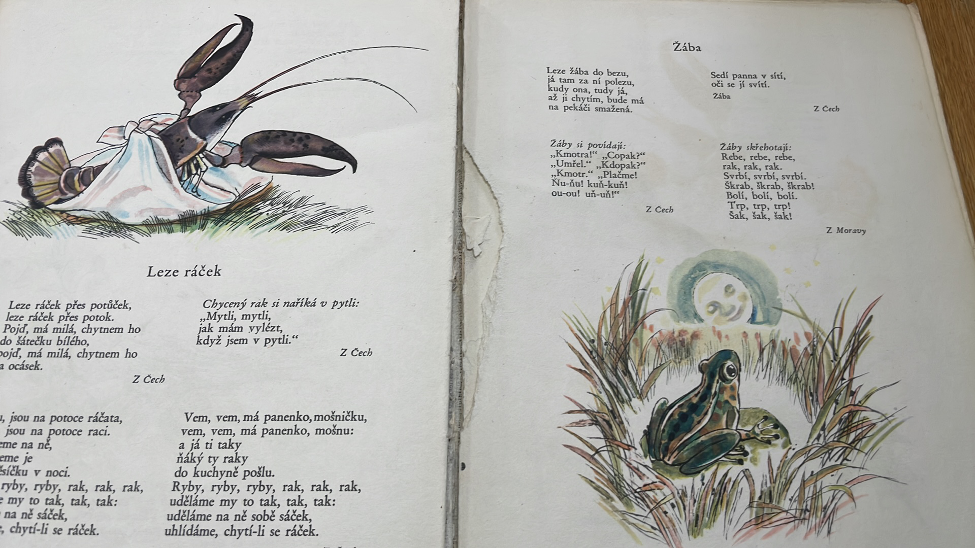 Karel Plicka - Cestička do školy