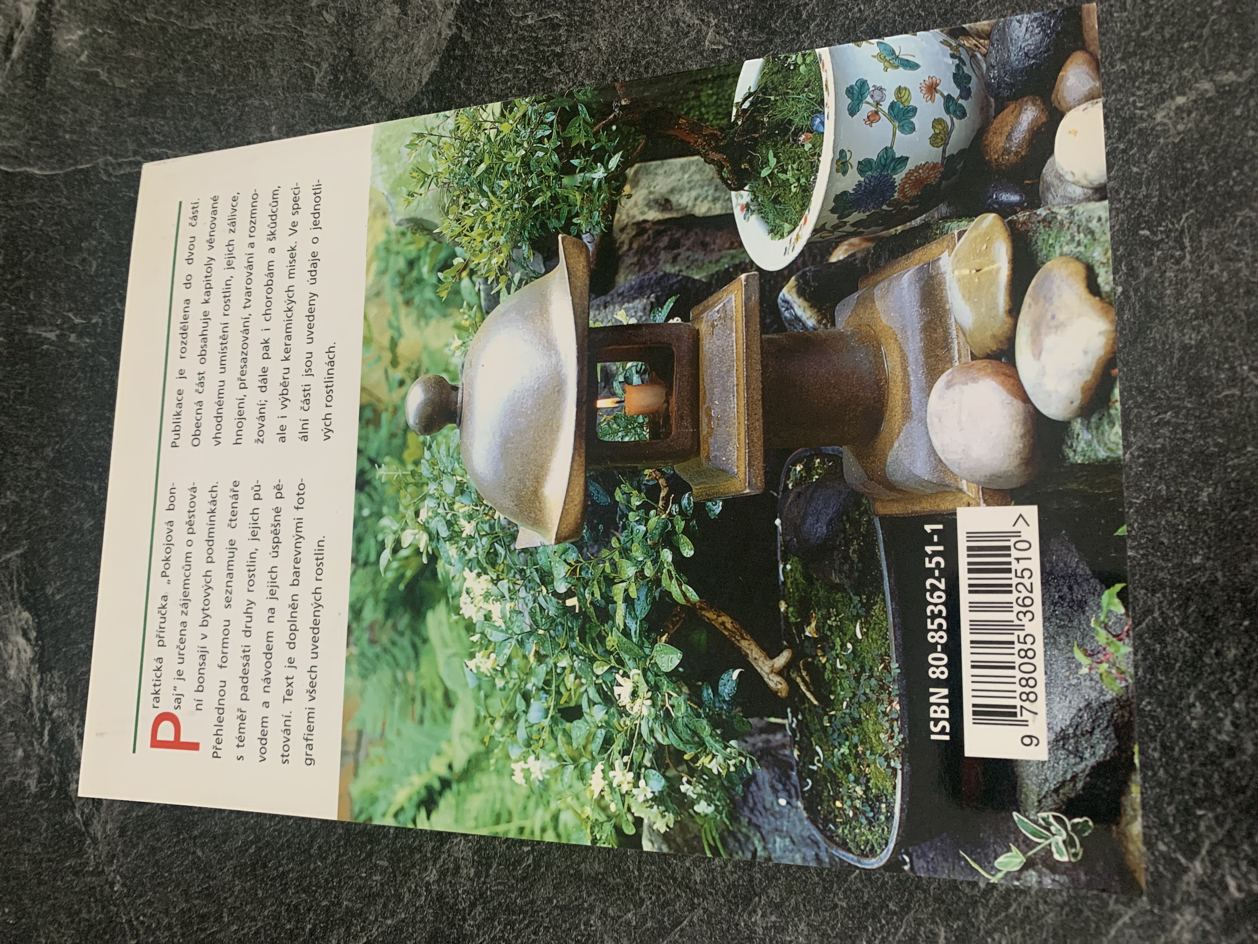 Jindřich Votýpka- Pokojová Bonsai