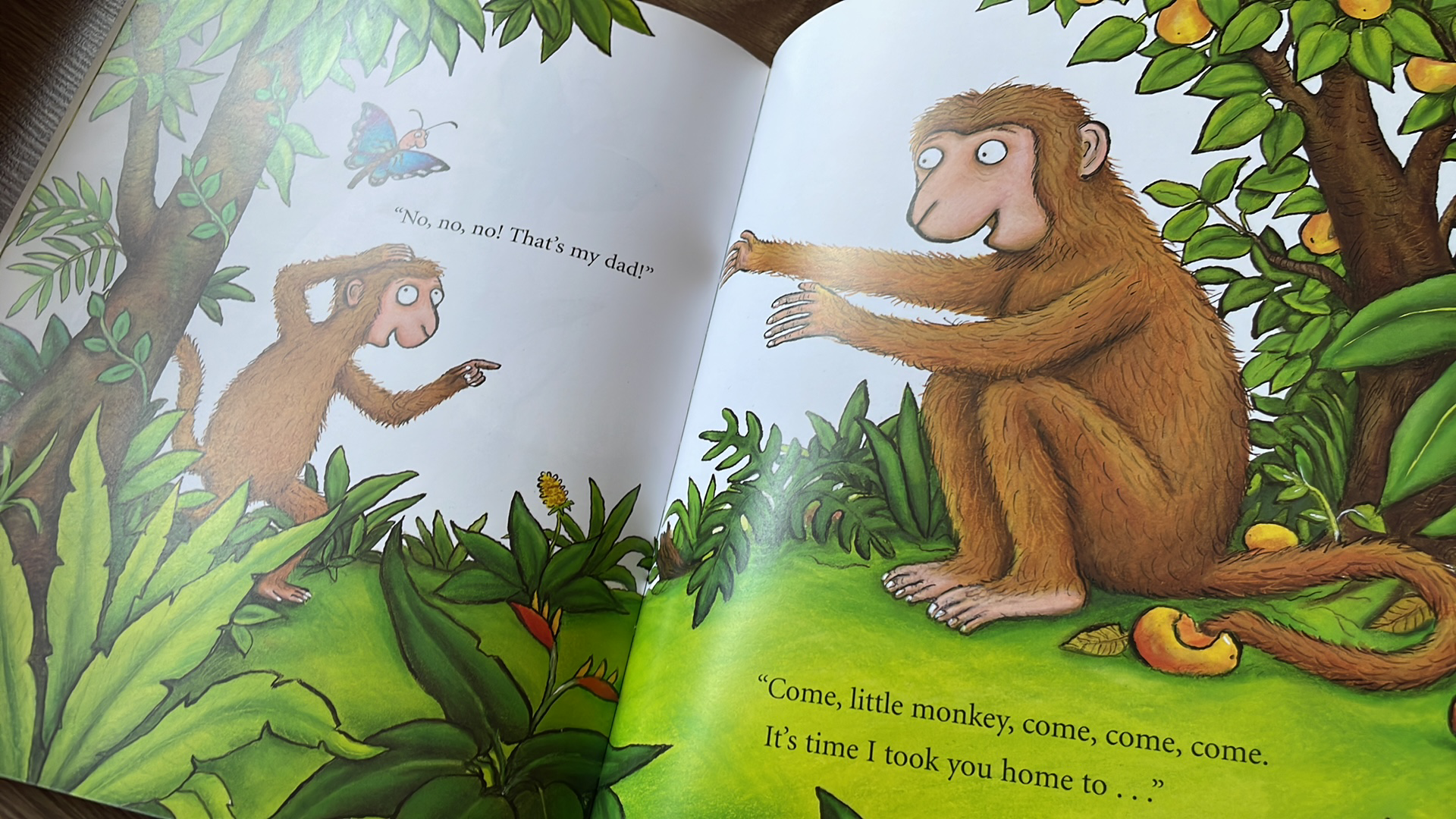 JULIA DONALDSON - MONKEY PUZZLE