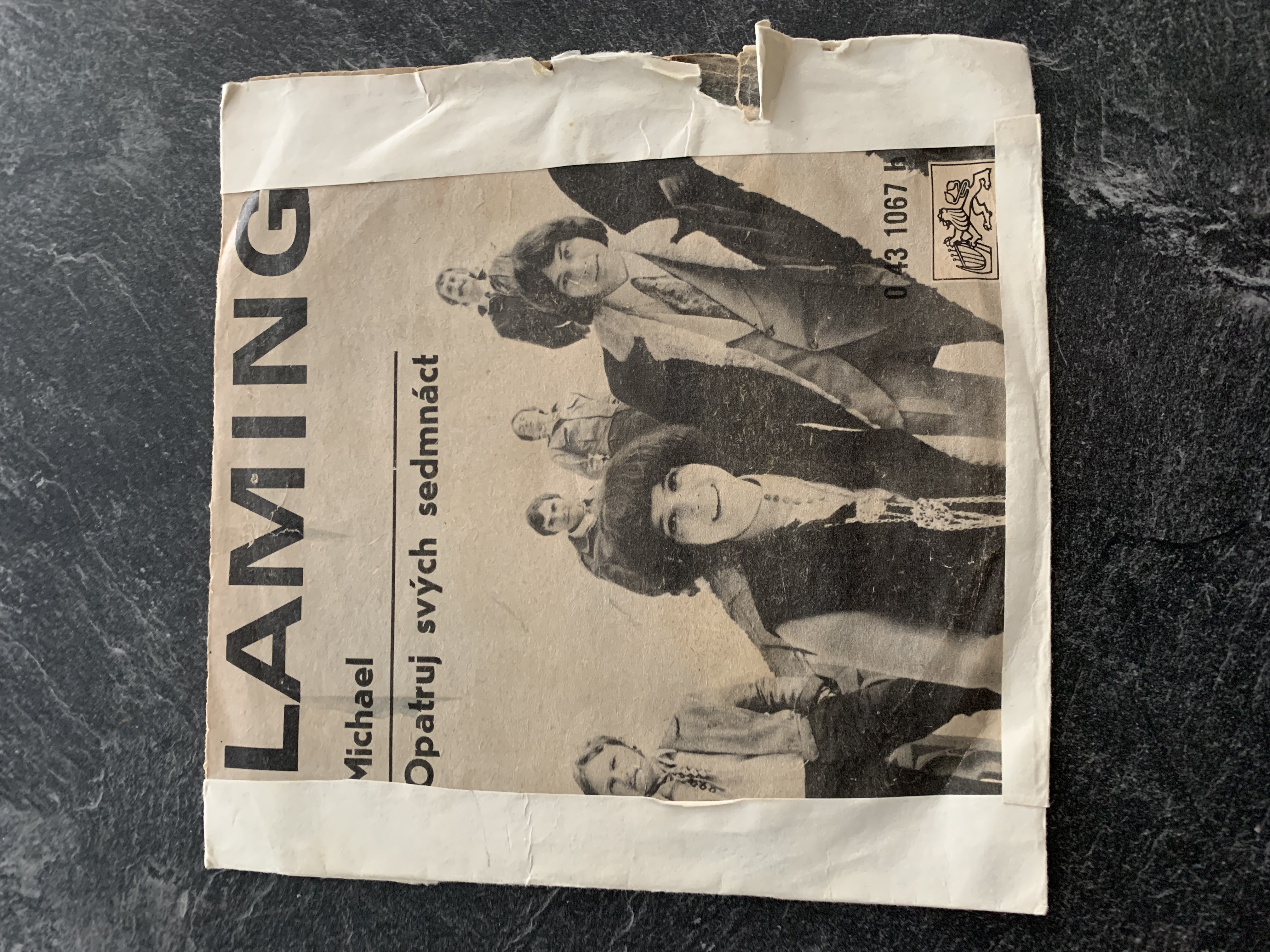 SP FLAMINGO - MICHAEL / OPATRUJ SVÝCH SEDMNÁCT