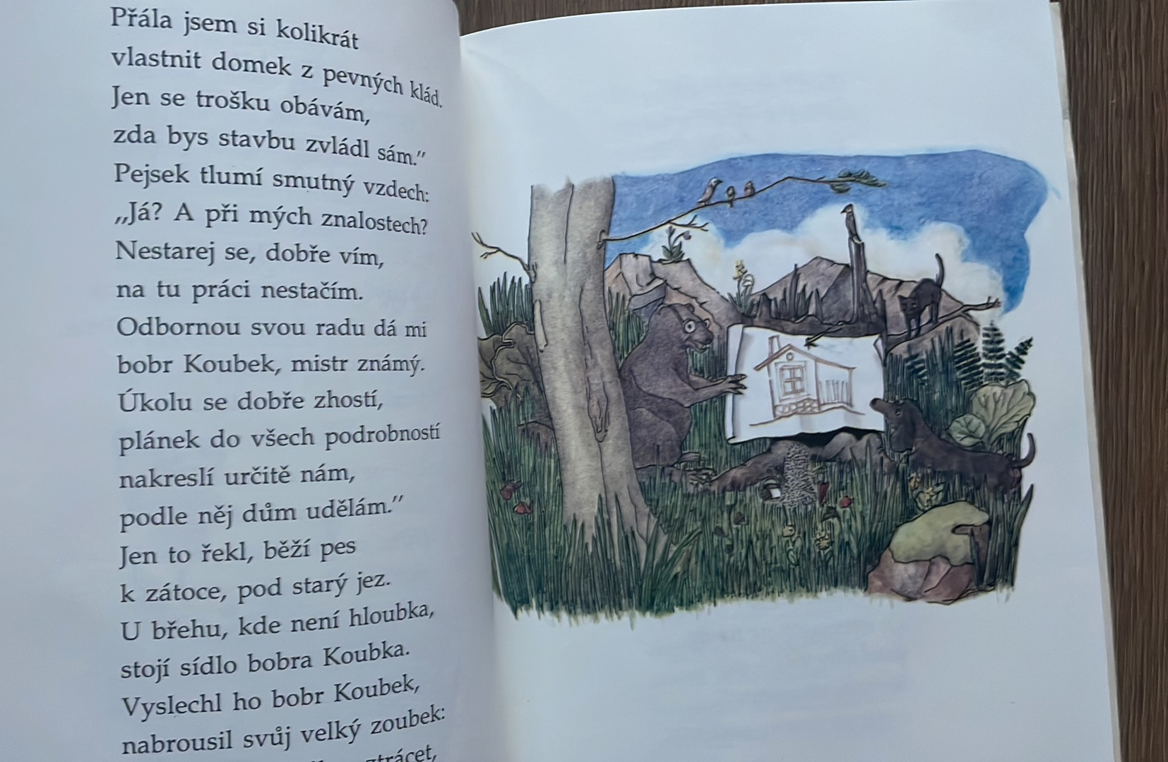 JANA KOLÁŘOVÁ - JOSÍFEK BETYNKA