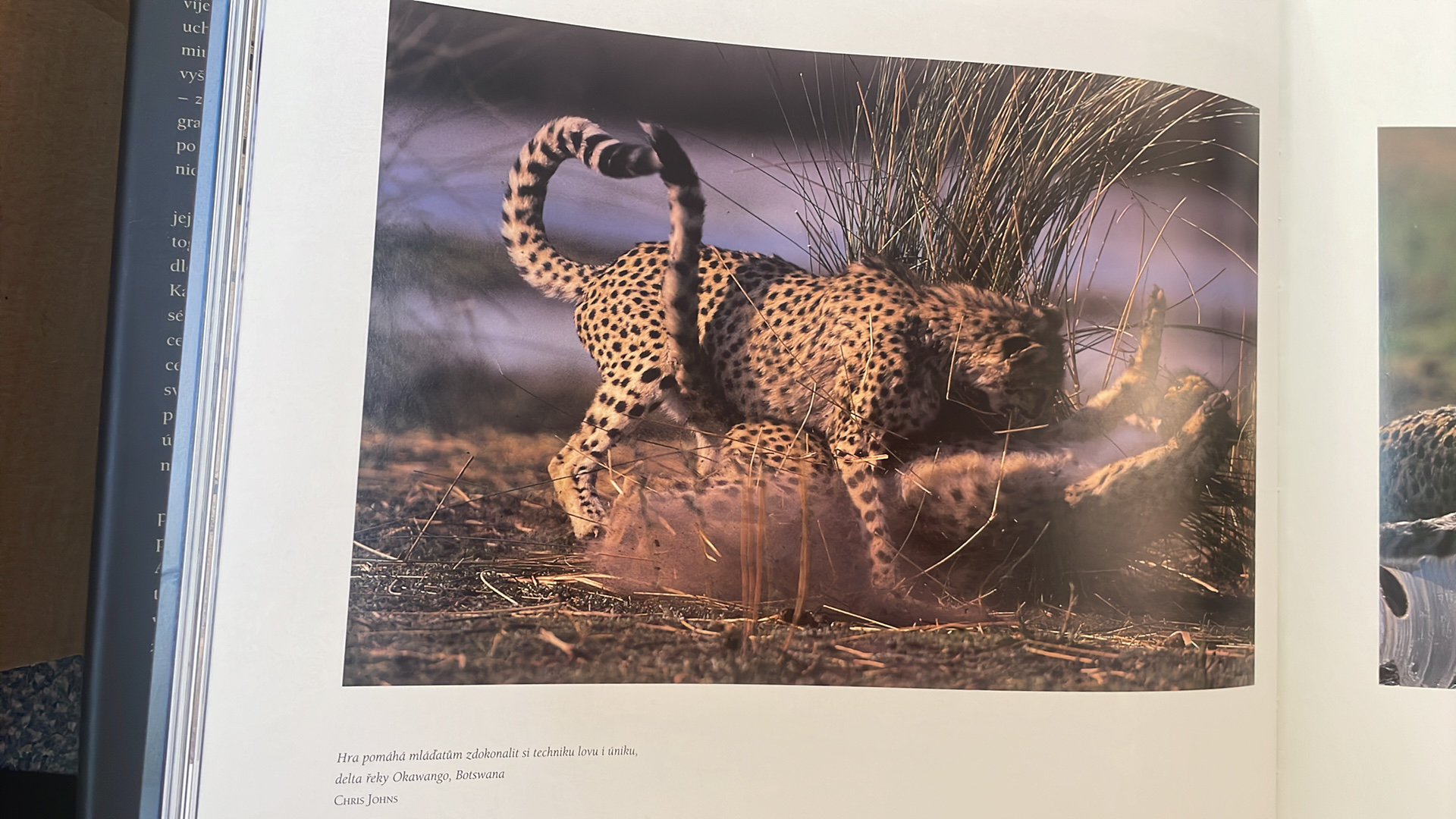 JOHN G. MITCHELL - NATIONAL GEOGRAPHIC divoká příroda ve fotografii