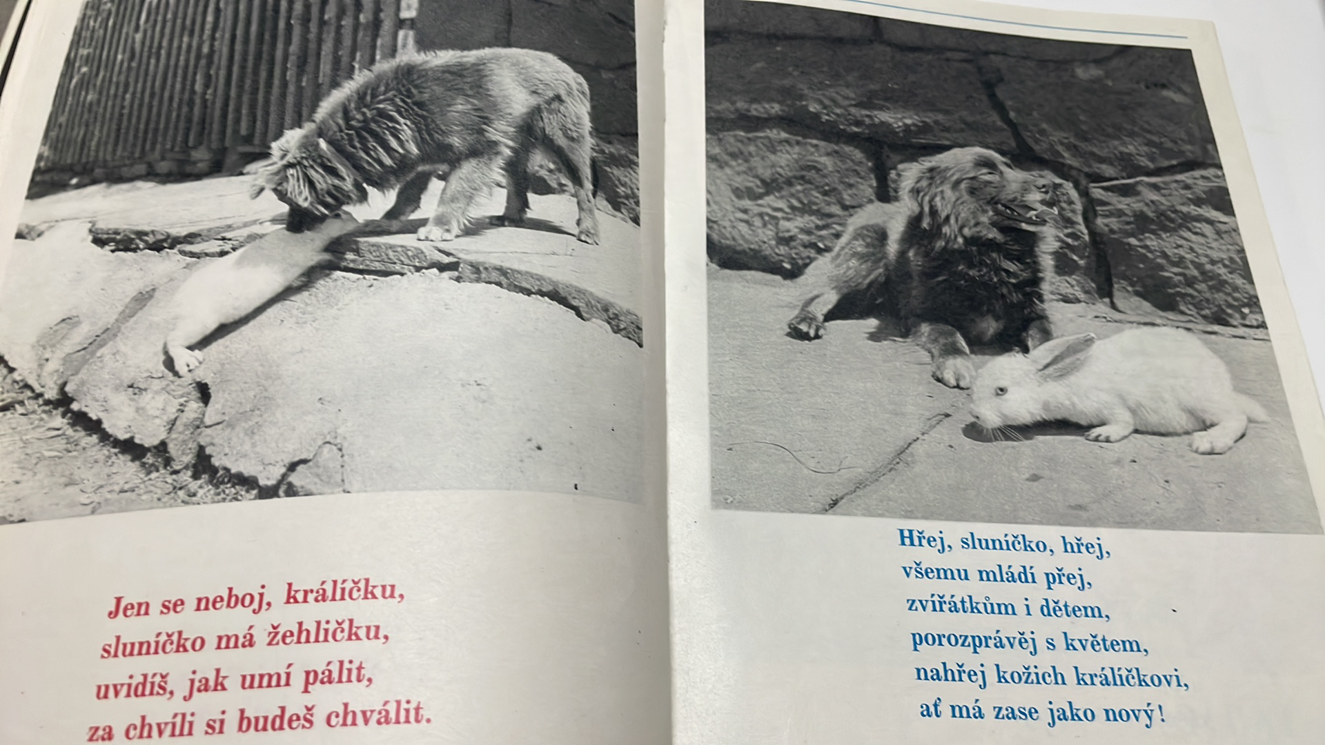 SLÁVA ŠTOCHL - DOBRÝ DEN, SLUNÍČKO!