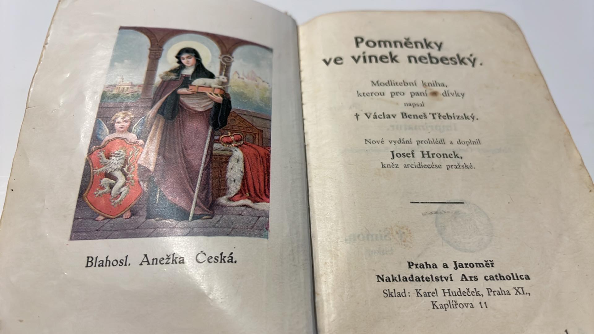 Václav Beneš Třebízský - Pomněnky ve vínek nebeský