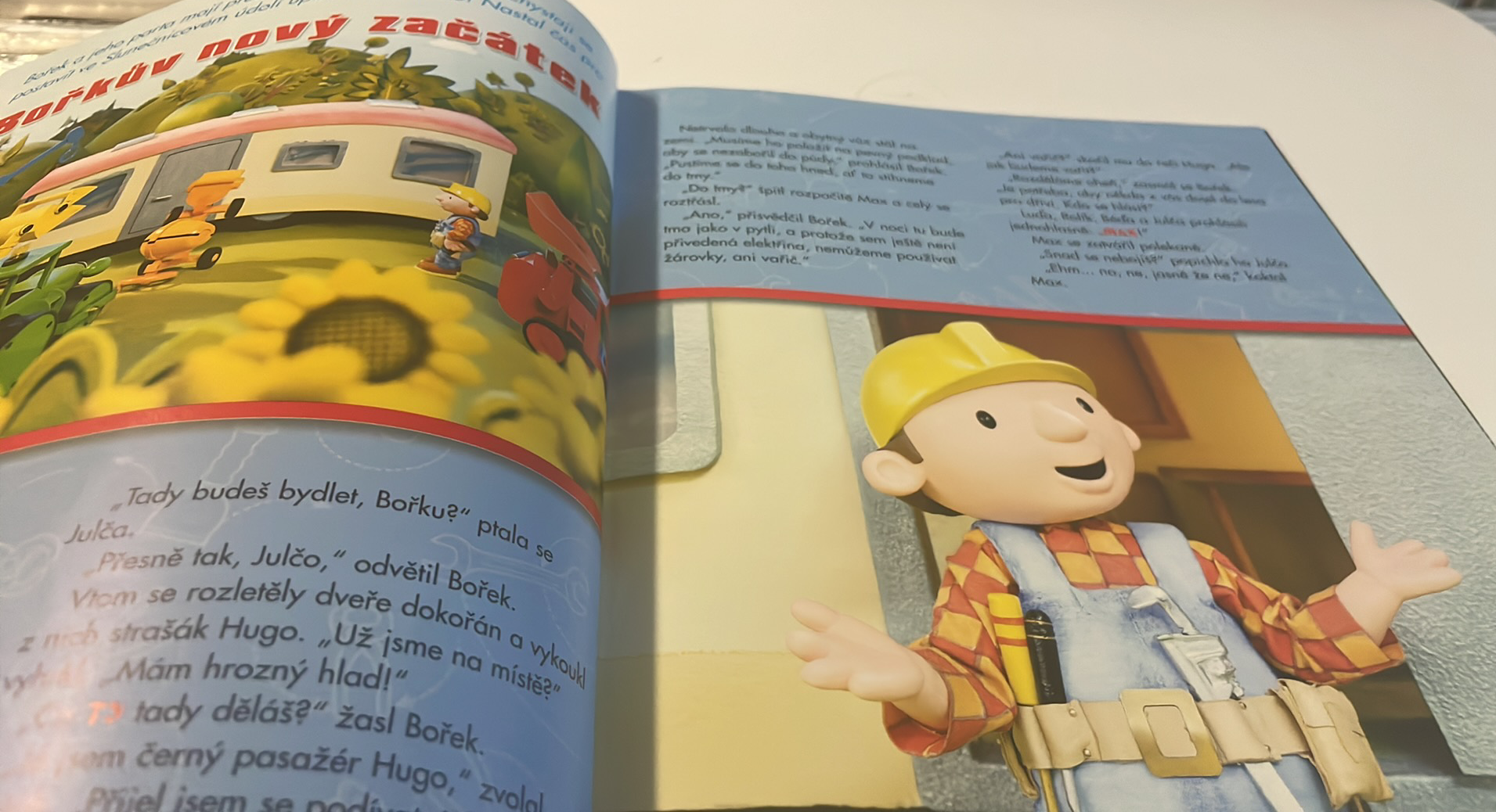 BOŘEK STAVITEL KNIŽKA NA ROK 2009