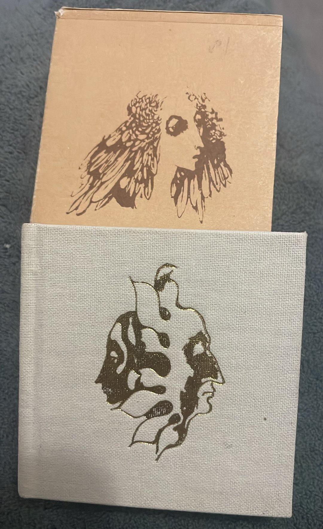 Vittoria Colonna : Sladká hořkost