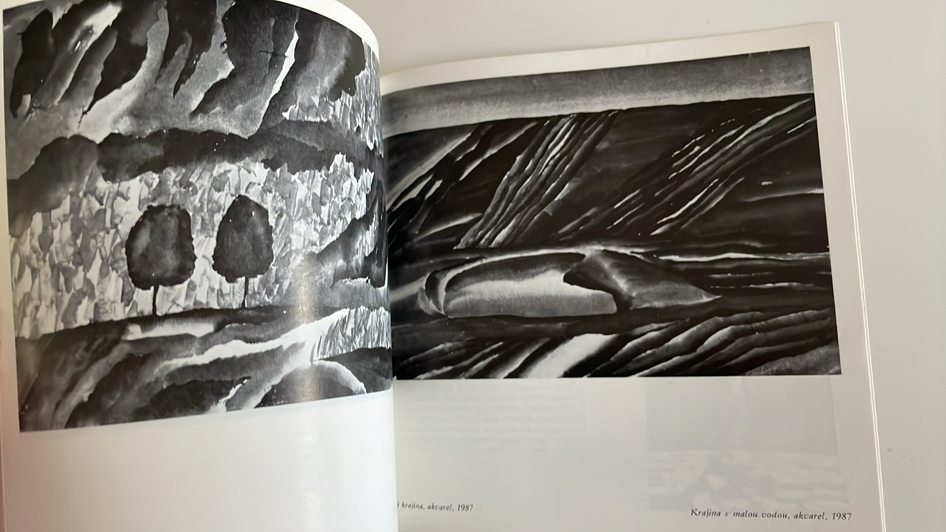 MILOŠ SLEZÁK : grafika, akvarely