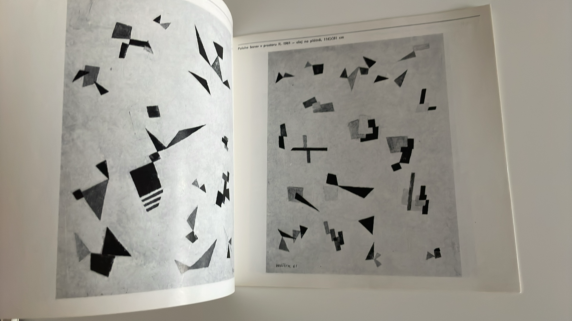 VLADIMÍR VAŠÍČEK : obrazy, kvaše, kresby