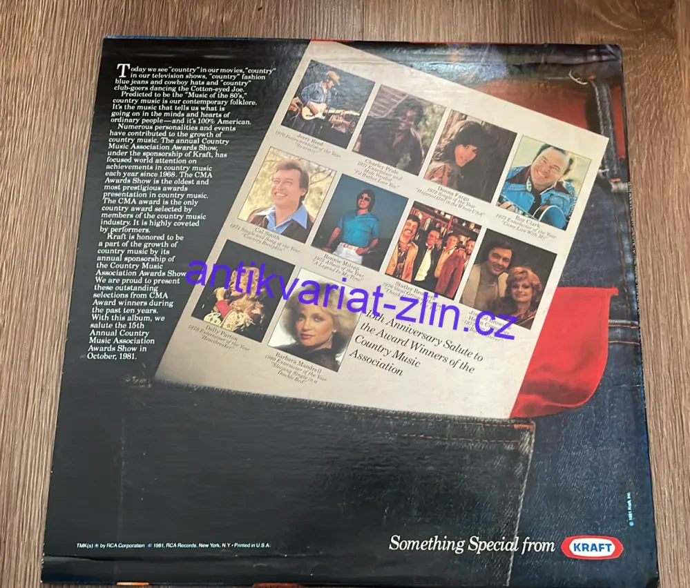 LP 15TH ANNIVERSARY SALUTE TO THE AWARD