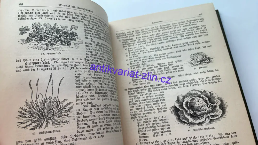 THEODOR LANGE : ALLGEMEINES GARTENBUCH II.