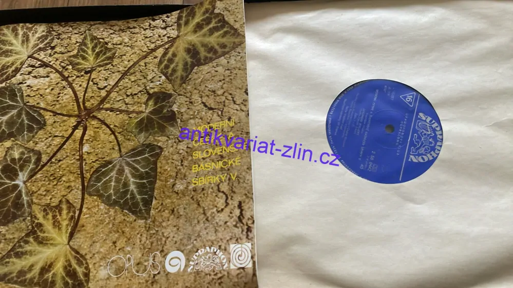 2 LP FRANTIŠEK HRUBÍN : 2 LP FRANTIŠEK HRUBÍN : MODERNÍ ČESKÉ A SLOVENSKÉ BÁSNICKÉ SBÍRKY V.