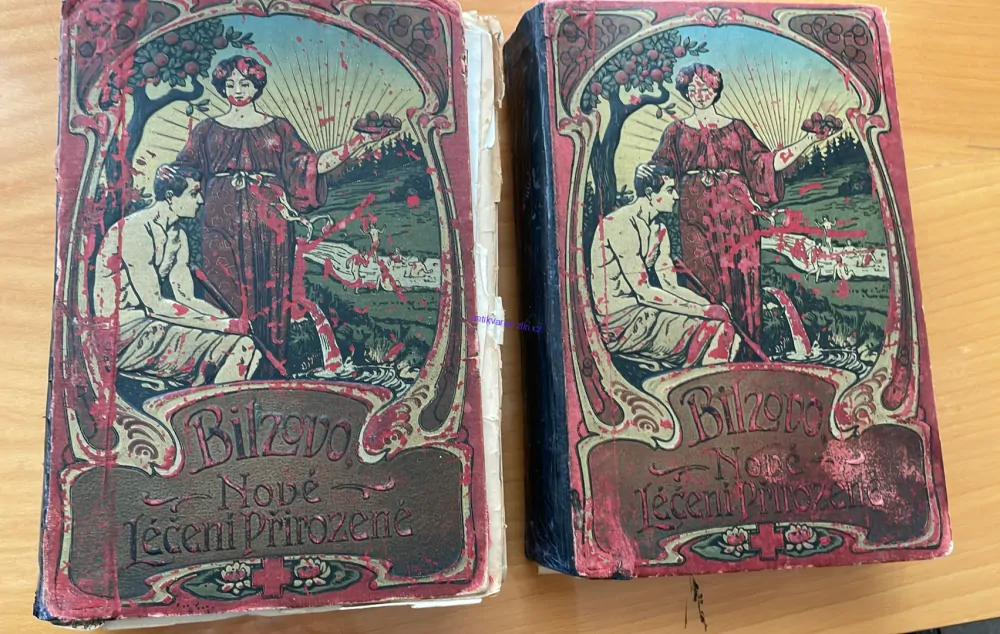 BILZOVO NOVÉ LÉČENÍ