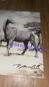 PETR MODLITBA - POHLEDNICE