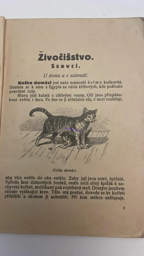 BOHUMIL SVAČINA : PŘÍRODOPIS PRO ŠKOLY OBECNÉ