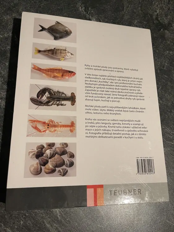 ŽELEZNIČÁŘI V ODBOJI - RŮŽENA HLUŠIČKOVÁ, LUDMILA KUBÁTOVÁ, IRENA MALÁ