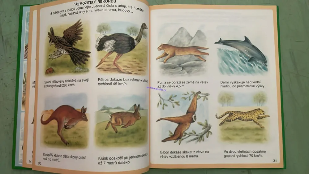 MARIE - RENÉE PIMONTOVÁ : OBRÁZKY Z PŘÍRODY