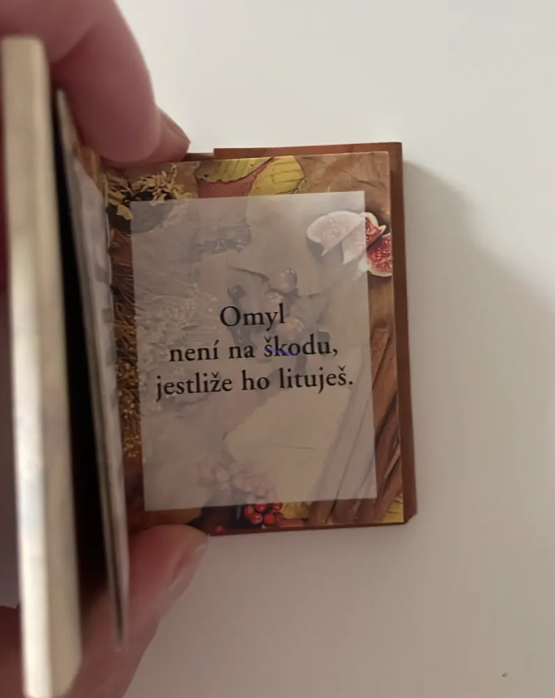 DÁRKOVÉ MINIKNÍŽKY A CITÁTY : PROMIŇ