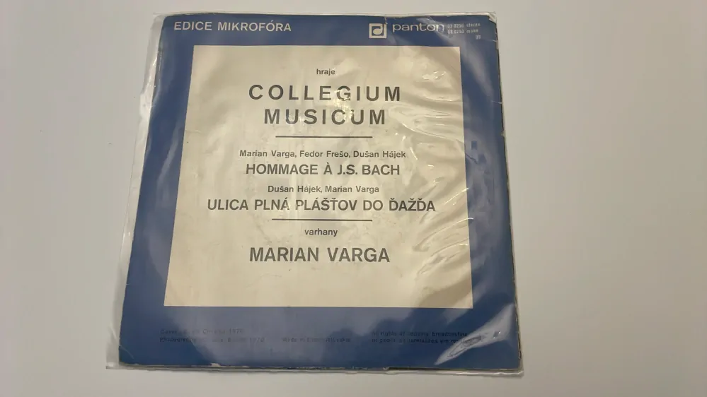 SP COLLEGIUM MUSICUM : ULICA PLNÁ PLÁŠŤOV DO DAŽĎA