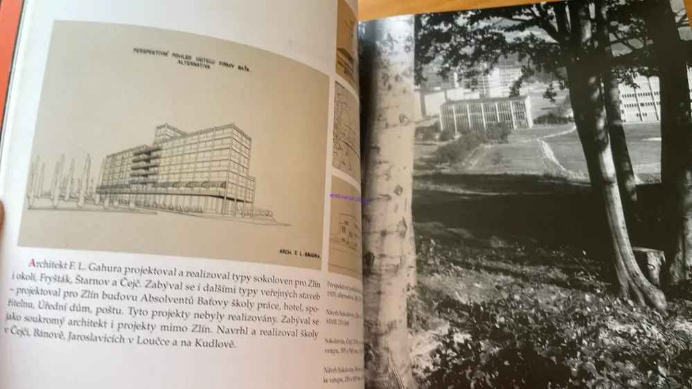 FRANTIŠEK LÝDIE : GAHURA