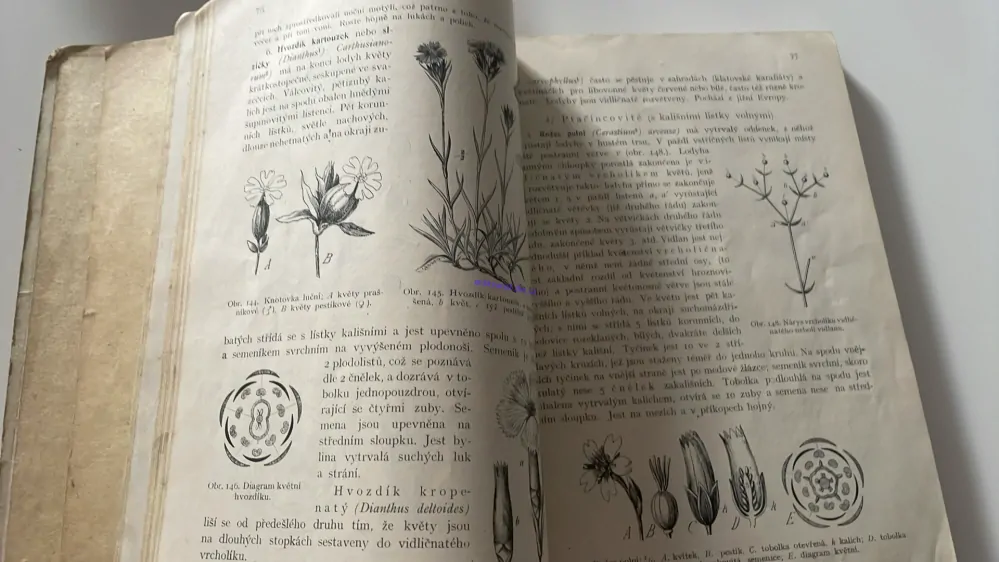 ROSTLINOPIS PRO NIŽŠÍ ODDĚLENÍ STŘEDNÍCH ŠKOL