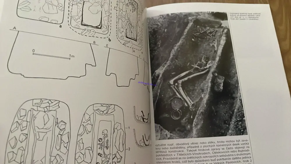 VLADIMÍR ONDRUŠ : PRAVĚK MORAVY