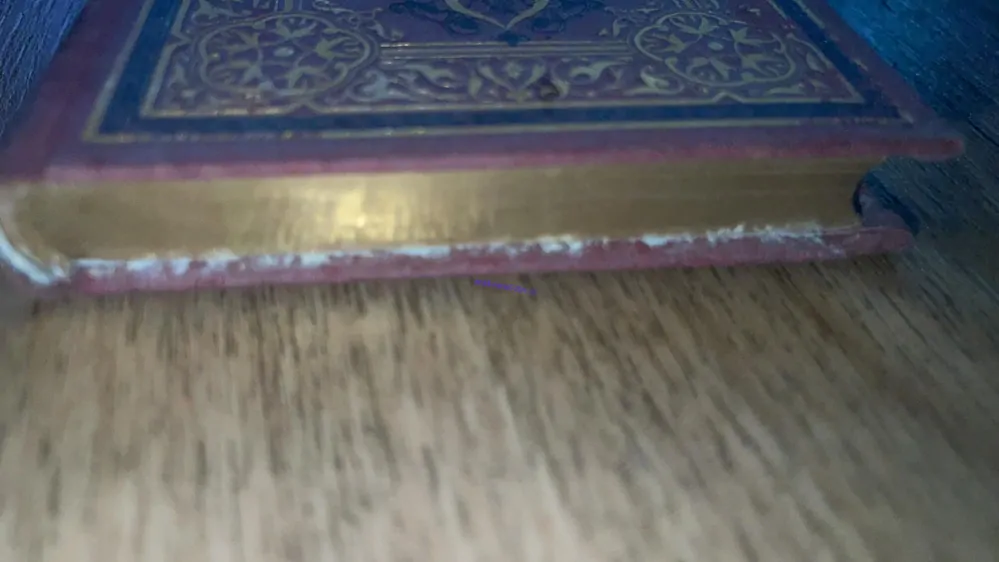 Die Lieder des Mirza Schaffy