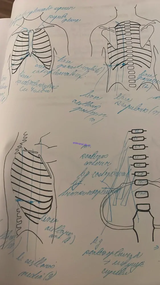 VLADIMÍR HOLIBKA : OBRAZOVÉ PŘEDLOHY K PŘEDNÁŠKÁM Z ANATOMIE