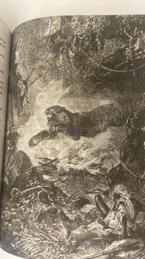 JULES VERNE : ZEMÍ ŠELEM