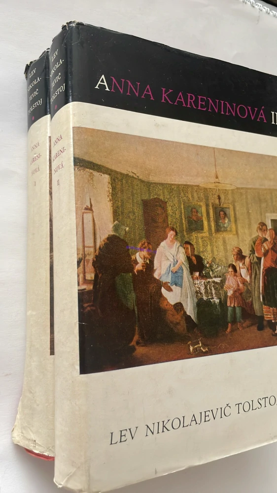 LEV NIKOLAJEVIČ TOLSTOJ : ANNA KARENINOVÁ
