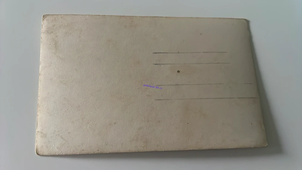 Pohlednice : Borovina