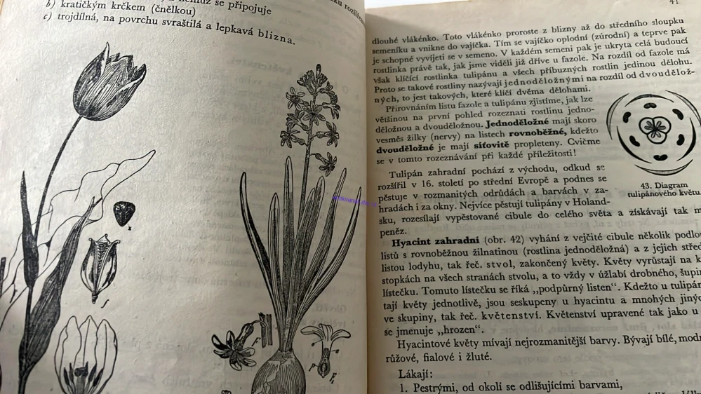 ROSTLINOPIS A NAUKA O ZEMI