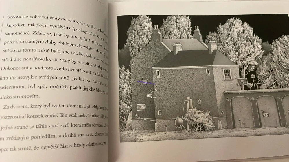 NAKRESLIL A NAPSAL EINAR TURKOWSKI : MĚSÍČNÍ KVĚTINA