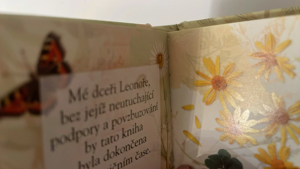 JSI BÁJEČNÁ DCERA : KNÍŽKA CITÁTŮ PRO DCERY