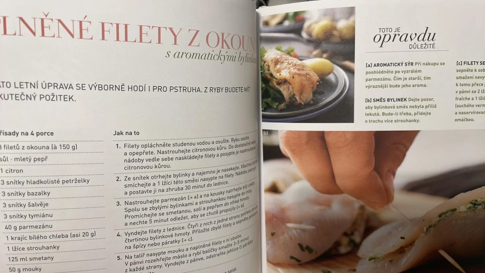 JACQUELINE VOGT : RYBY Z NAŠICH RYBNÍKŮ A ŘEK