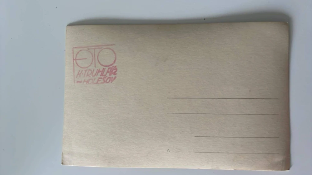 Fotografie : Ženich a nevěsta