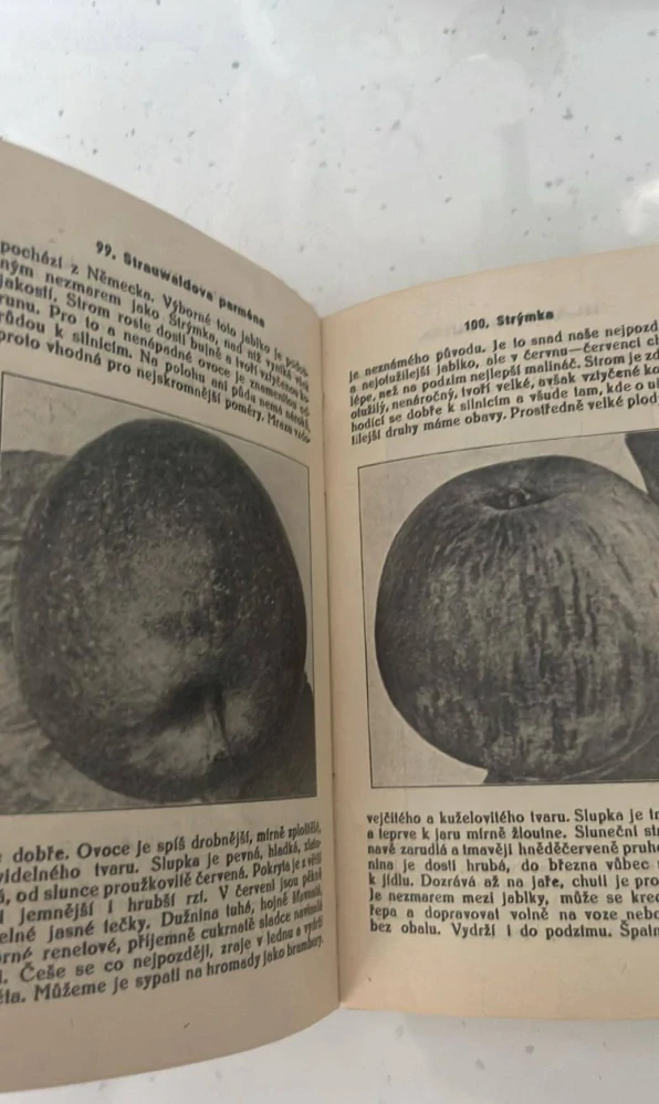 ZDENĚK DADÁK : NAŠE OVOCE