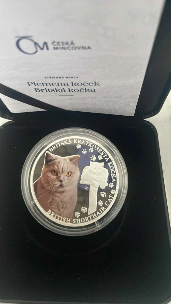 Stříbrná mince Plemena koček - Britská kočka proof