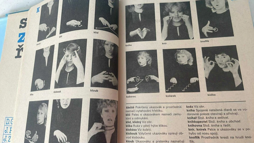 Slovník znakové řeči